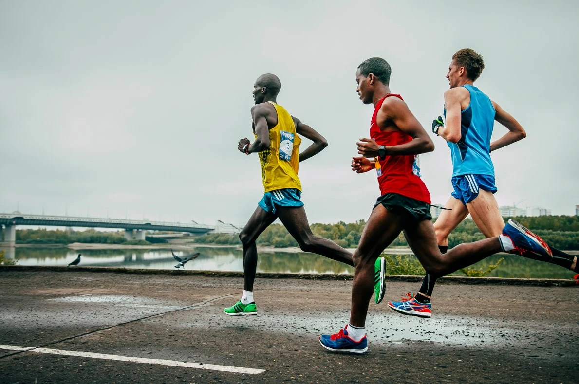 Hot Sale Running apparel Salomon Store -Hot Sale Running apparel Salomon Store 菁英